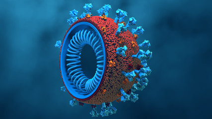 Inside look Virus, Coronavirus, respiratory virus, SARS, MERS