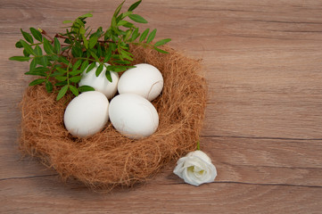 Eggs in a nest on a blue background. White flowers
