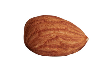 Macro photo of almond on a highlighted background