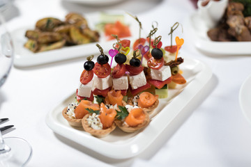 Canapes of fish, vegetables, meat on a plate on a white background