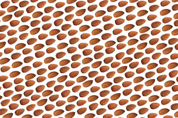 Texture of almond nuts on a white background