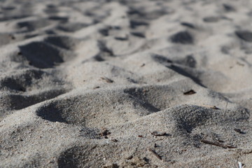 Arenas