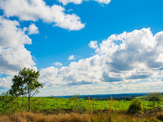 Obraz premium Blue Sky in the Fields