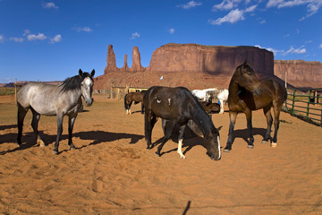 Horses grazing in front of red buttes and colorful spires of Monument Valley Navajo Tribal Park, Southern Utah near Arizona border