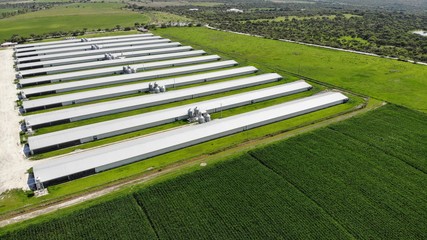 created by dji camera, aerial shot of chicken farms, breeding. Chicken industry, industrial buildings