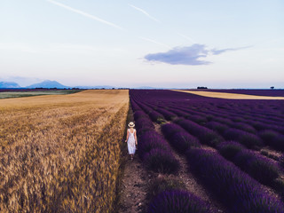 Woman in white dress and hat enjoying summer vacations in rural Provence lands while visiting famous France destination, female tourist in farmland with scent flowers on blooming lavender meadows