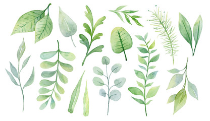 Watercolor green leaves set. Spring garden cute hand drawn floral elements