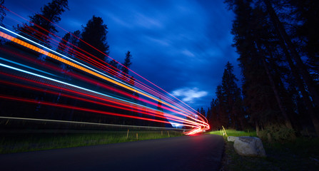 traffic in the forest at night