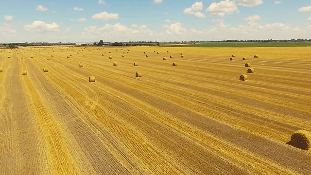 Aerial drone video. Fields with haystack rolls.