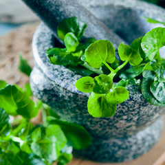 Fresh Watercress salad leaves -  cress healthy greens, rich in vitamins.
