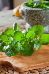 Fresh Watercress salad leaves -  cress healthy greens, rich in vitamins.