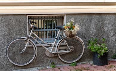Old  white bicycle with flowers in the front basket. Ecological transport for people with active lifestyle.