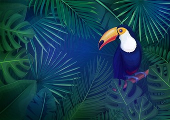 Tropical leaves and toucan
