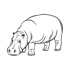 Fototapeta premium Hippopotamus animal icon