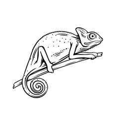 Chameleon outline icon © setory