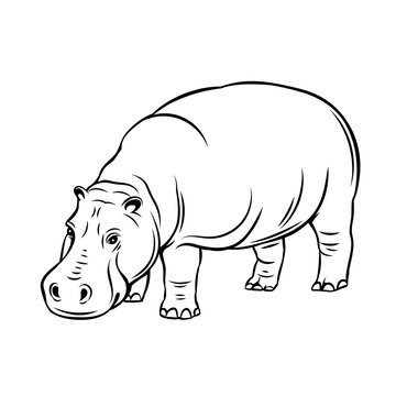 recommend clip art: Hippopotamus animal icon