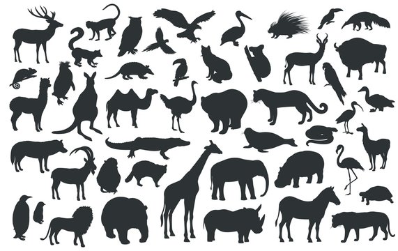 Silhouettes of traditional animals