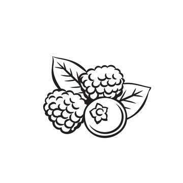 recommend clip art: Berry fruit outline