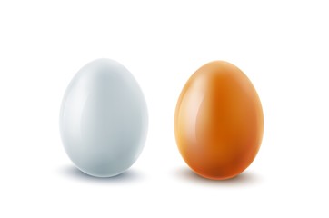 Realistic chicken eggs