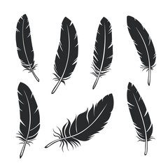 Sketch feathers set