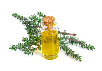 thyme oil isolated on white