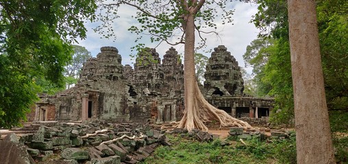 Obraz premium Temple d'Angkor