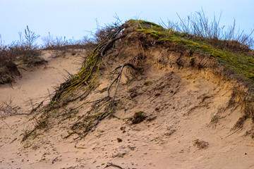 dutch dunes eroding