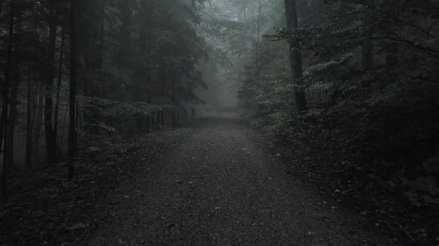 aerial drone flight through the creepy foggy forest along the road