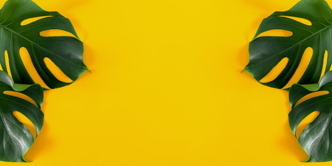Summer concept. Green leaves Monstera on yellow background. Flat lay, top view, copy space