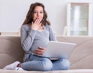 Fototapeta na wymiar Pregnant woman working on laptop sitting on sofa