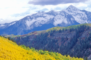 San Juan National Forest, Aspen, Colorado