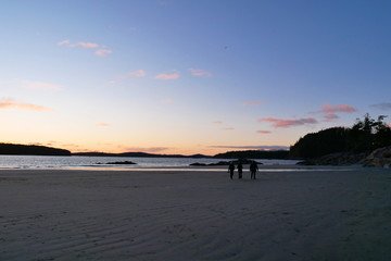 Three people walk along empty beach at sunset