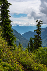 Mountains and valley near Mt Baker #7