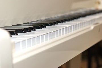 Piano keyboard background with selective focus. White piano.