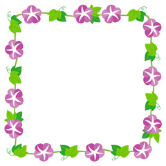 Morning glory frame on white background