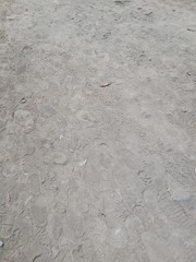 Huellas en la tierra