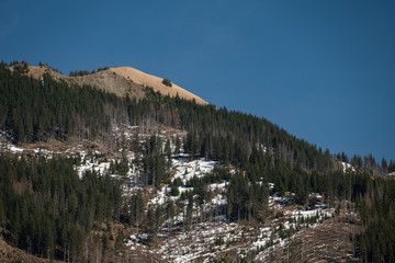 A mountain peak covered with dry orange grasses in the early spring.