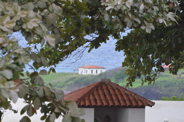 Fototapeta premium f noronha