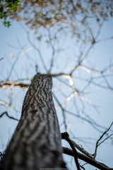 Life is about details