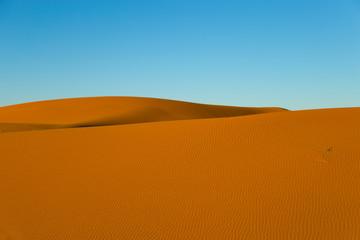 Desert Morocco