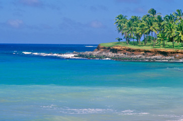 Fototapeta na wymiar Coastline with Palm Trees, Maui, Hawaii