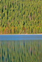 Redfish Lake and Pine Trees at Sunrise, Idaho