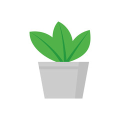 Plant and pot icon design.