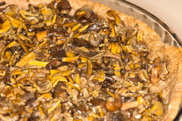 Craterellus tubaeformis