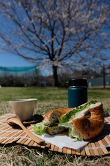 お花見ベーグル。満開の桜。Hanmi with  bagel. Beautiful Japanese Cherry Blossoms.