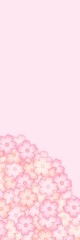Cherry blossom background material　桜の花の背景素材