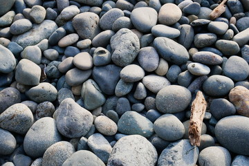 Image of pebbles at drift wood on a Canadian beach