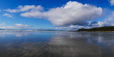 Panoramic view of empty beach on the west coast of Canada