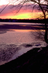 Partially frozen Lake Harriet.