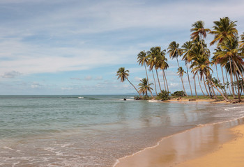 tropical beach costa esmeralda with coconut trees
